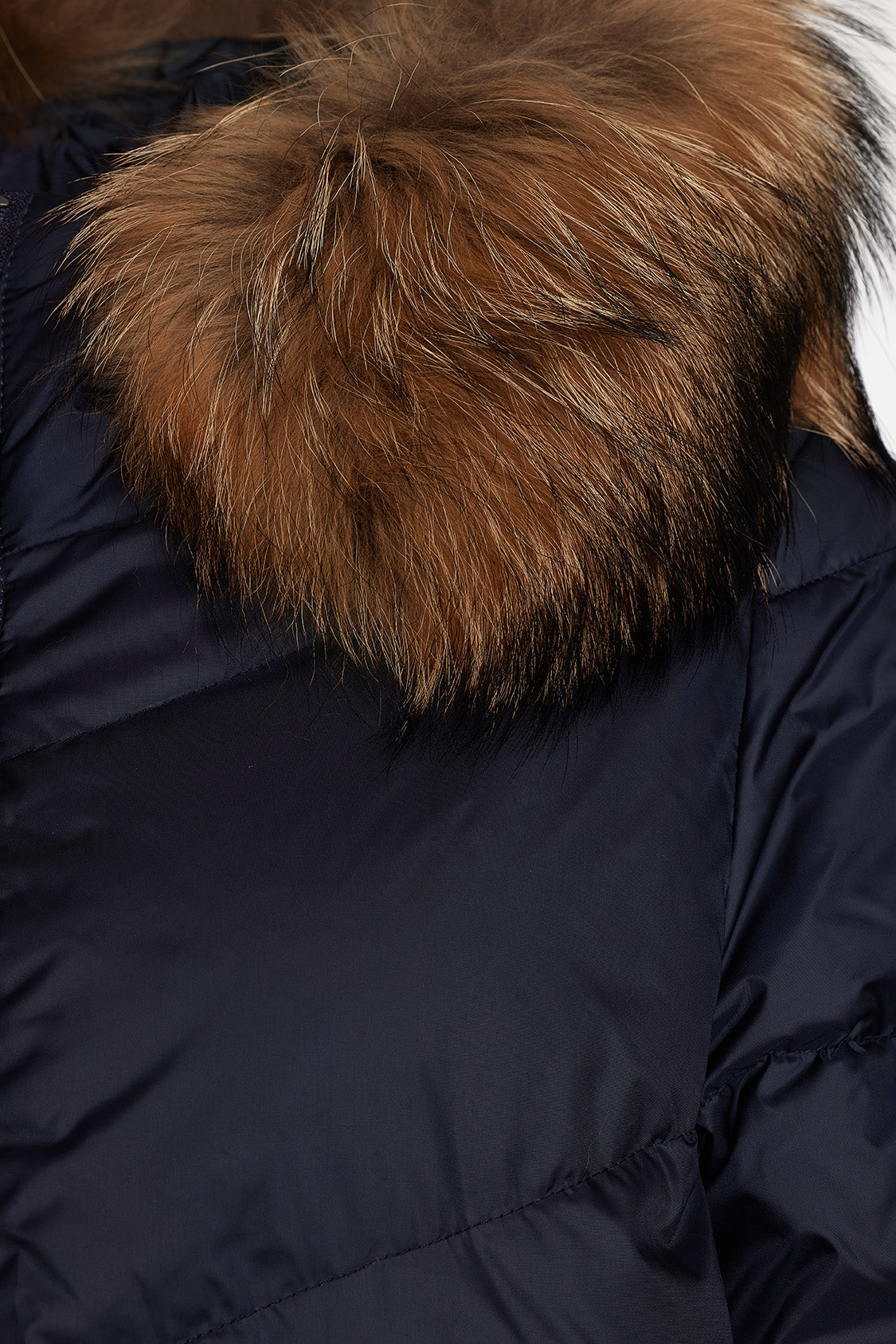 Windfield / Danwear Herdis P Vinterjakker 08 Navy